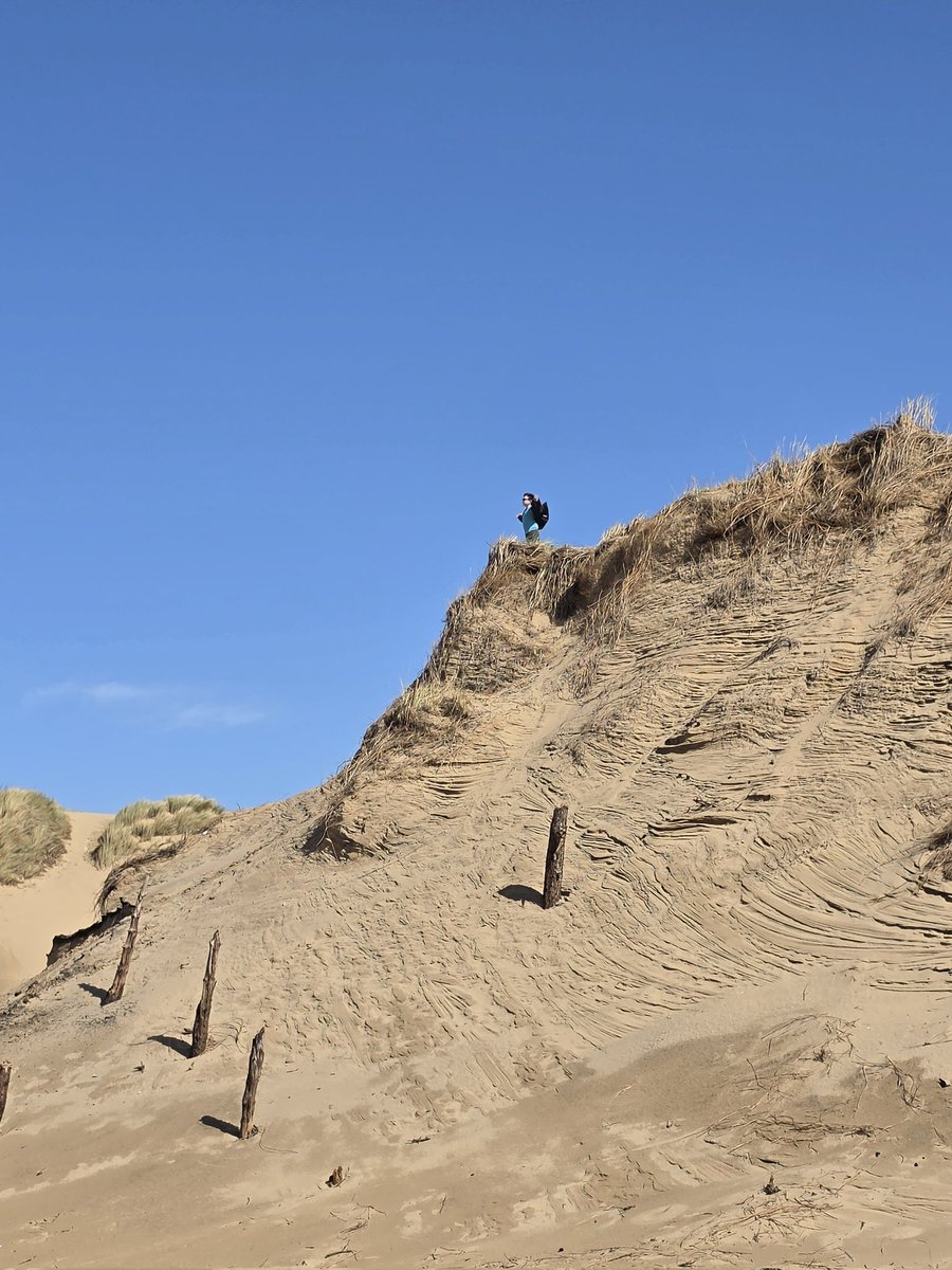 Gary Stanford tweet media