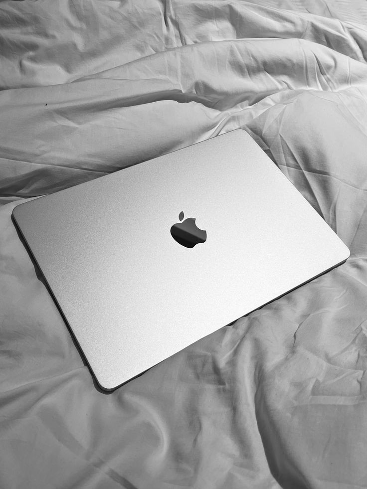 𝘼𝙡𝙚𝙭 tweet media