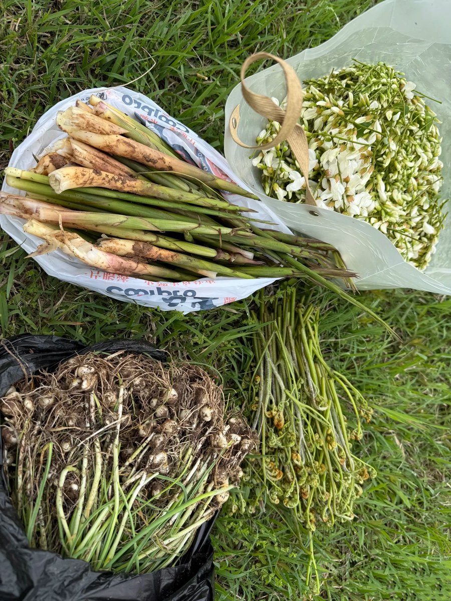 Kaia Lee tweet media