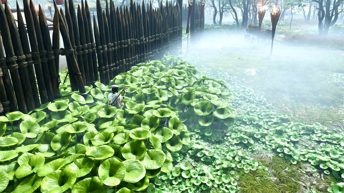 マッシュ/蝦夷地とビーチとミアレシティと対馬とハイラルとパルデアとフォドラを走り回ってる tweet media