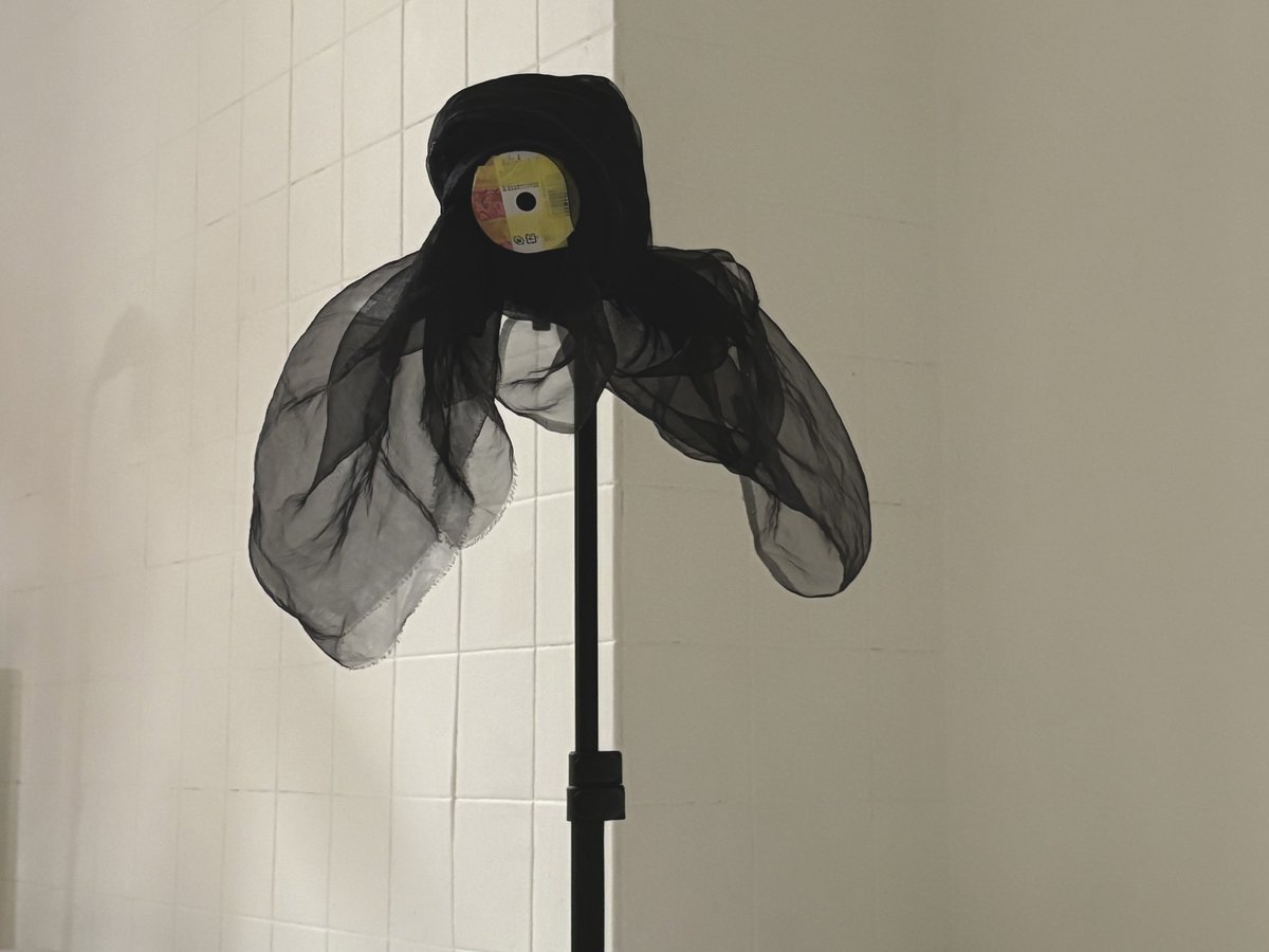 彩之助 tweet media