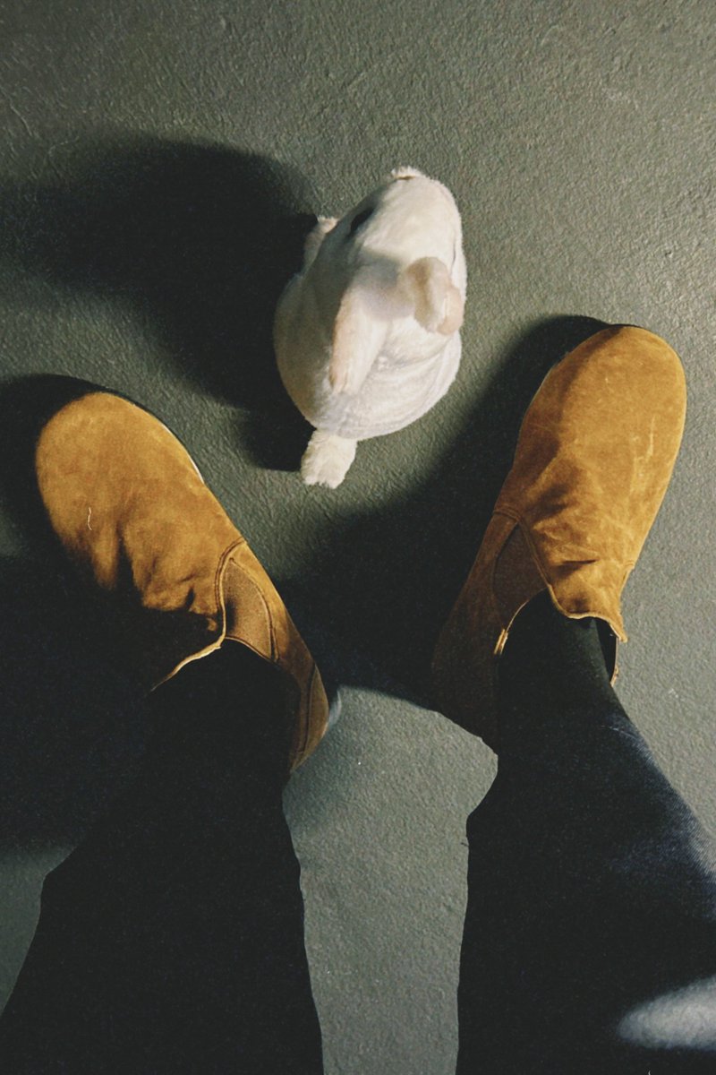 彩之助 tweet media