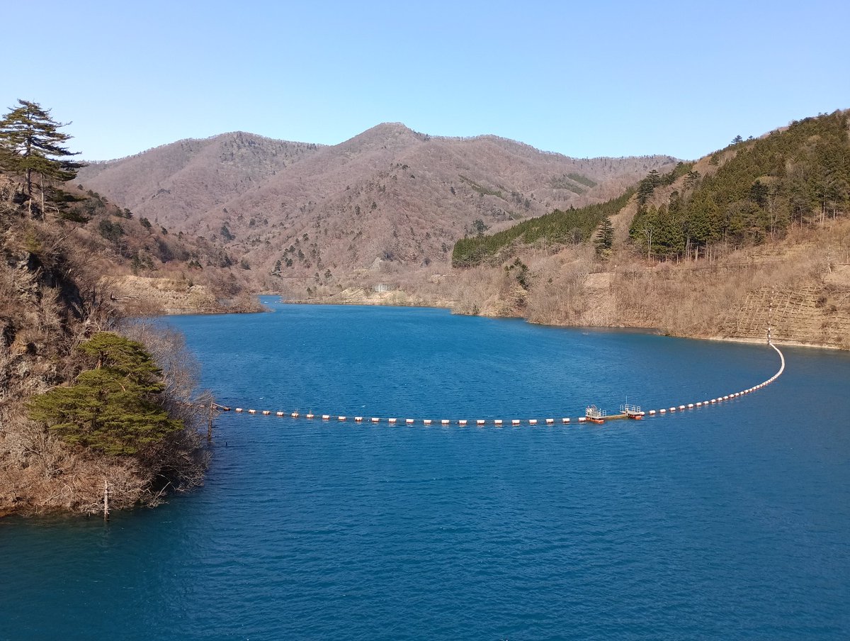 ｵ ｶﾞ ﾜ🐧 tweet media