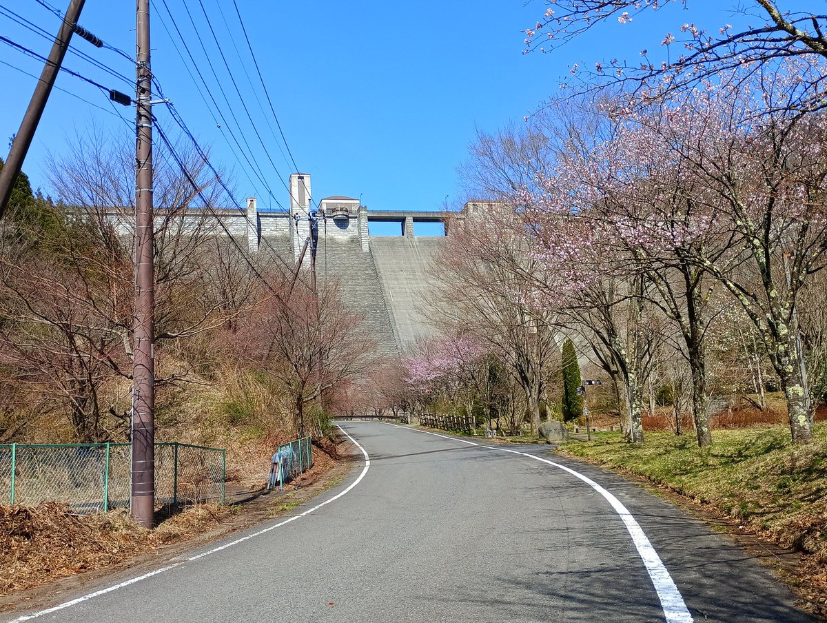 ｵ ｶﾞ ﾜ🐧 tweet media