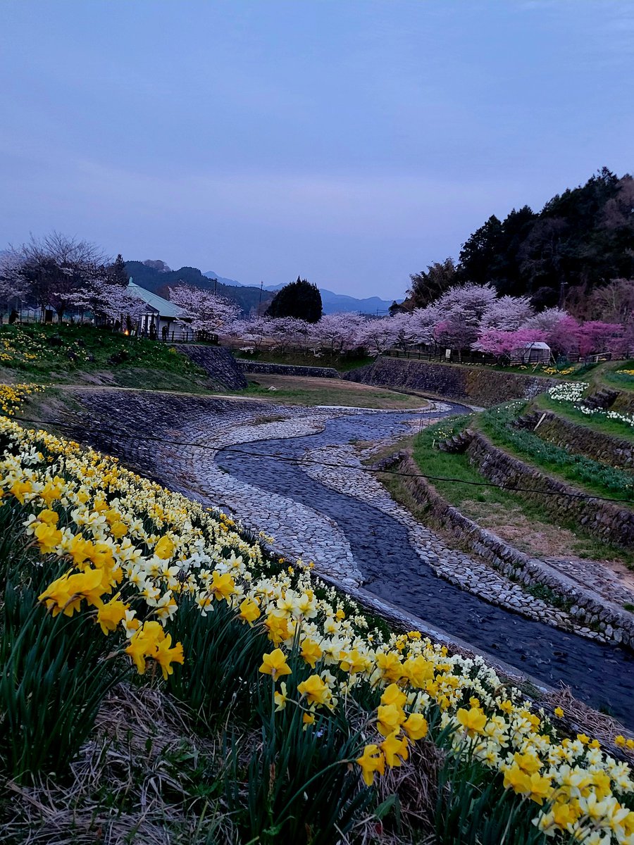 ちっころ。 tweet media