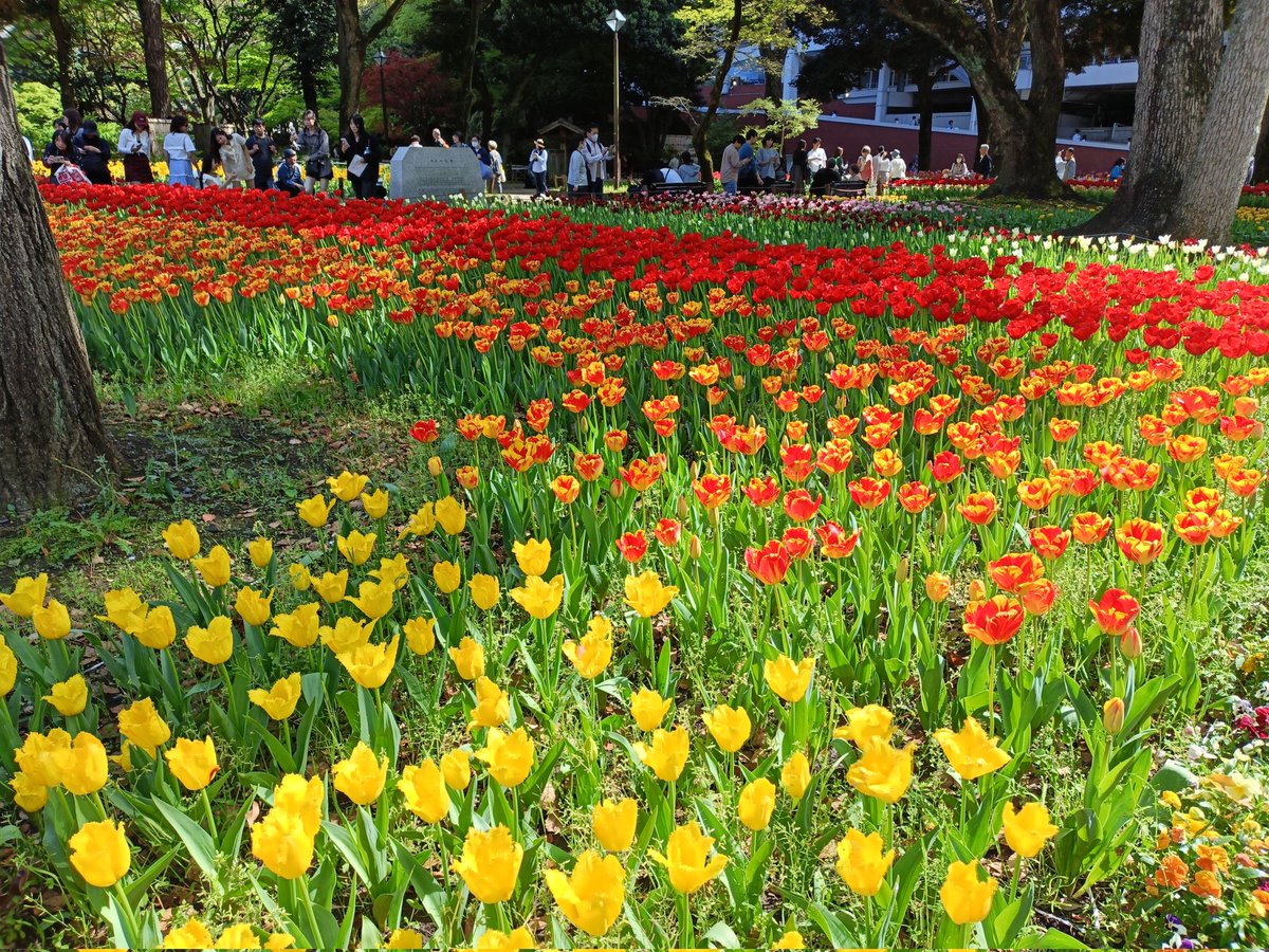 ken1usugi's tweet photo. 子供が家を出たので夫婦で昼呑みなど楽しんだ週末でした。来週は一年以上ぶりのバンドリハ！実は休止期間中に衝動買いしたシンセが2点あって、ArturiaのAstrolab 37とStudiologicのNuma Compact X SE。Astrolabを使いこなすにはまずV collectionのエディットを覚えなければ。。。 https://t.co/tJpQeIlGZA