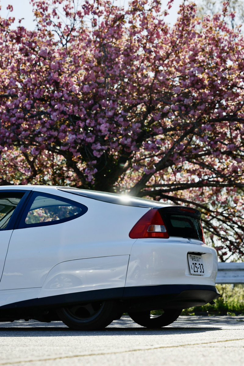 ヒカゲノ tweet media