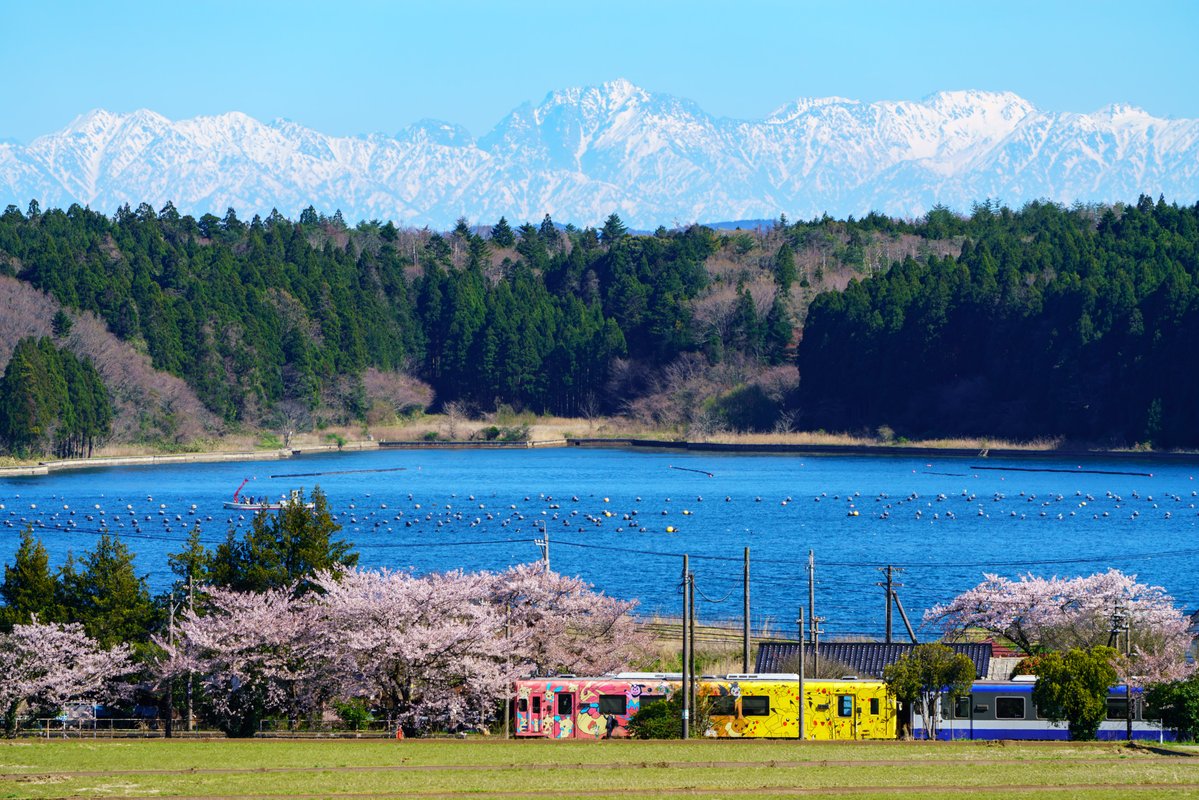 桜舞う #のと鉄道 でも、春の四重奏風の景色を見ることができました。

POKÉMON with YOUトレインは菜の花の代わり。

Flickr → flic.kr/p/2s755rU