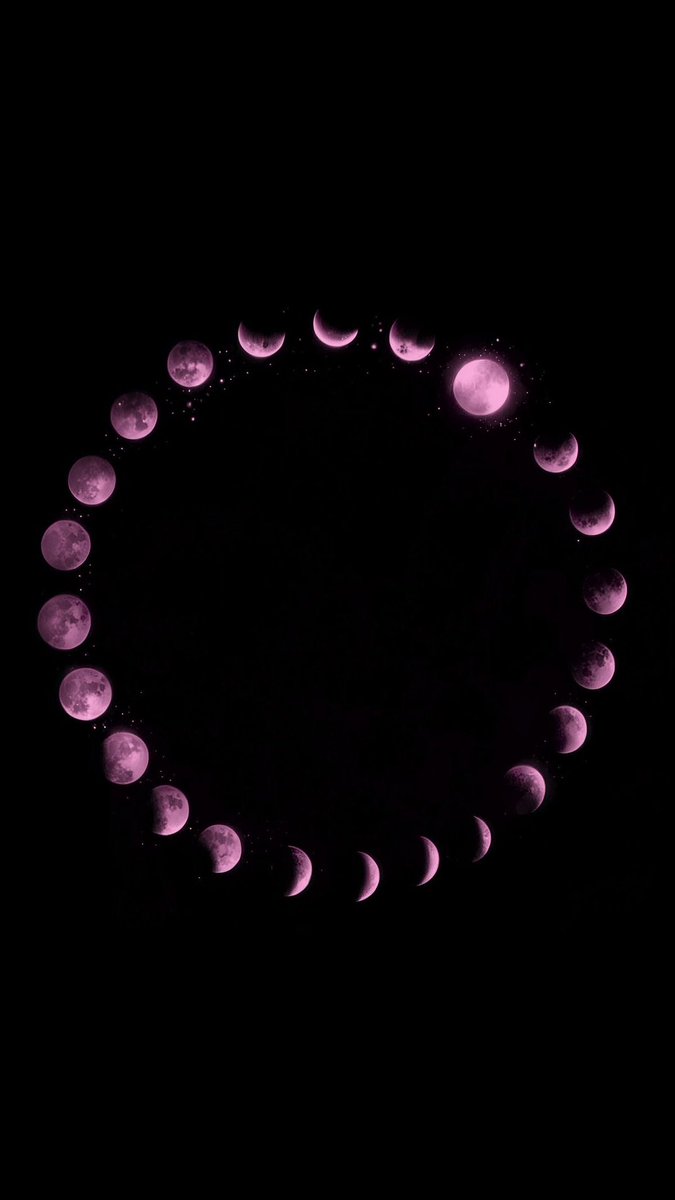 Solithra ☀️ tweet media