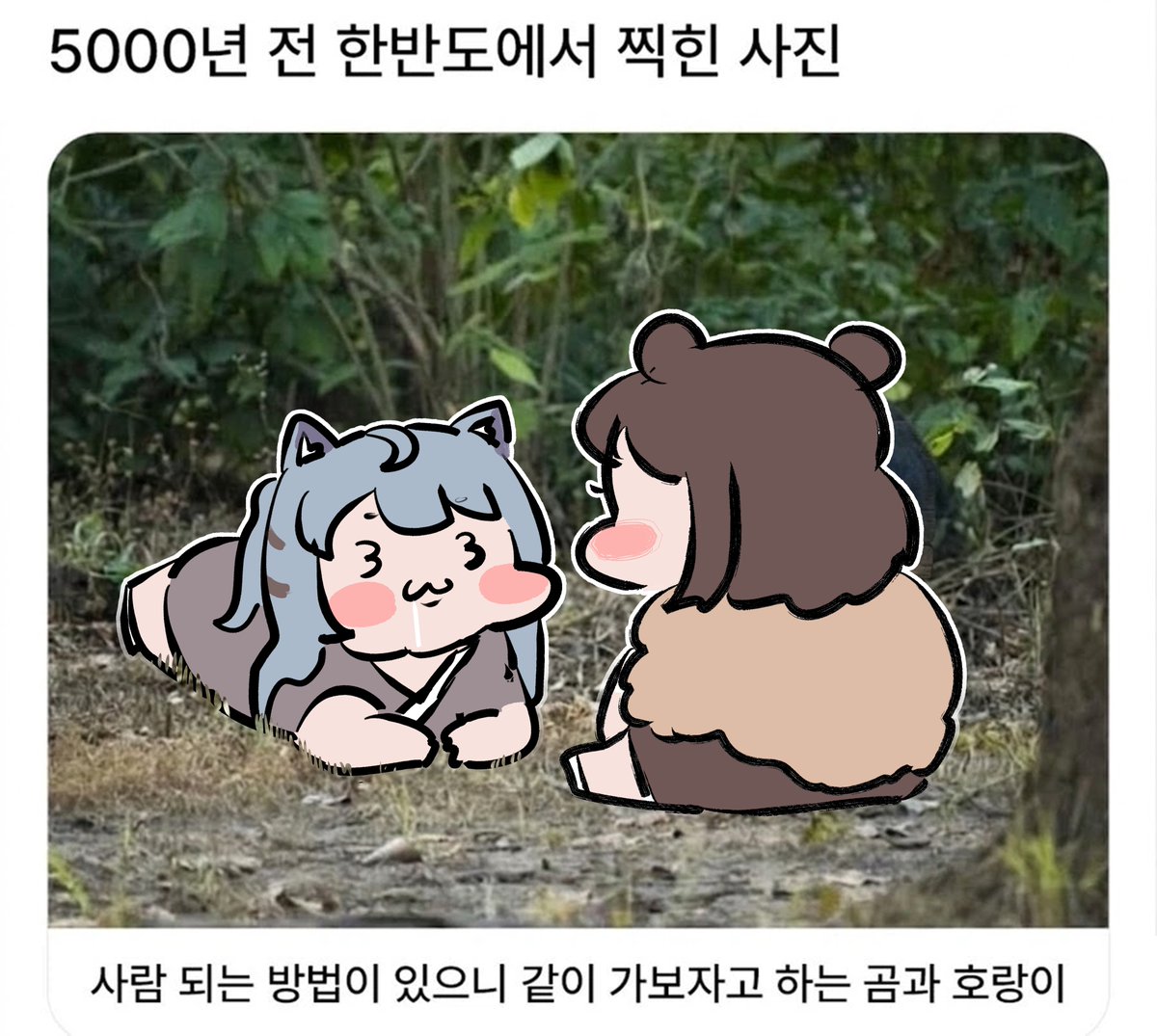 민찌 (Minchi) tweet media