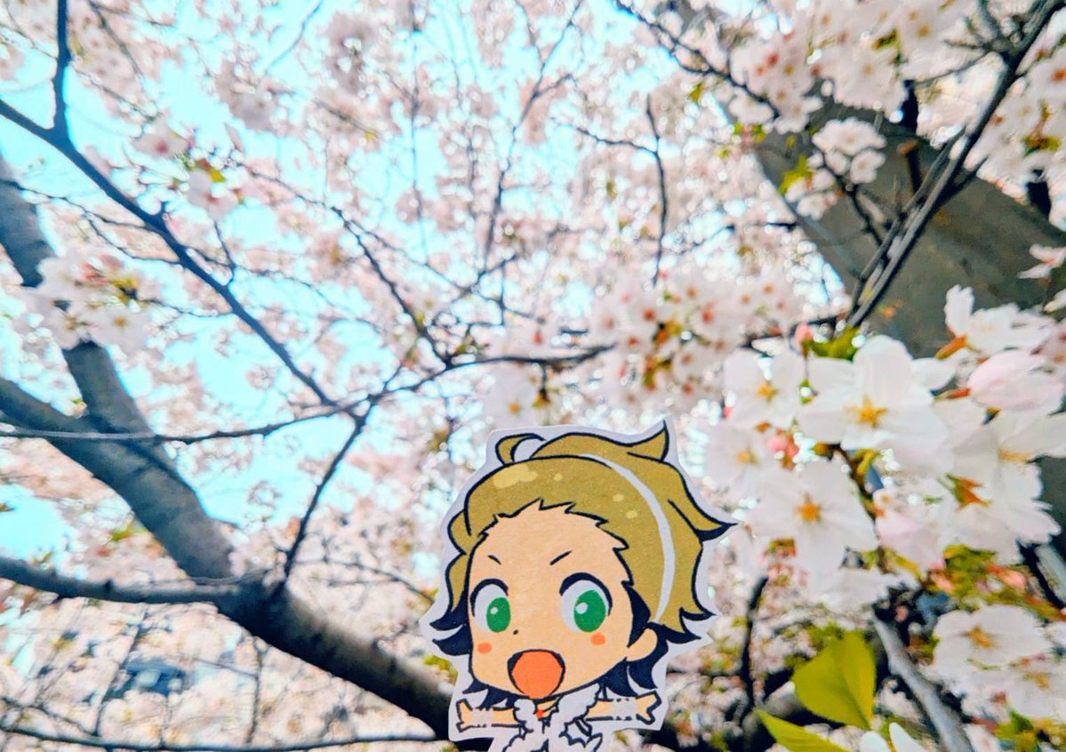 のっちさん tweet media