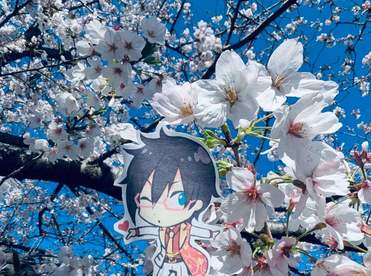 のっちさん tweet media