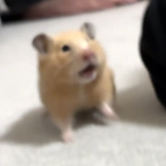 𝒑𝒊𝒏𝒐 tweet media