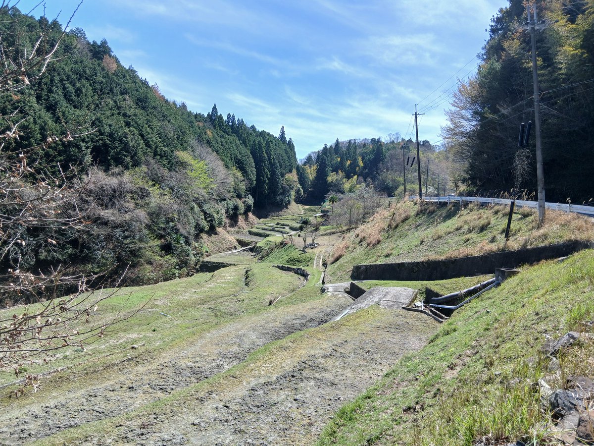 tanjiZX6R's tweet photo. 景色見ながらのんびり走ってると、狐？みたいなの見かけて急いで写真撮ったけど、遅かったっぽい🥲
6Rでは走りたくなかった道もWRなら楽しいな https://t.co/F1JtJNMPHr