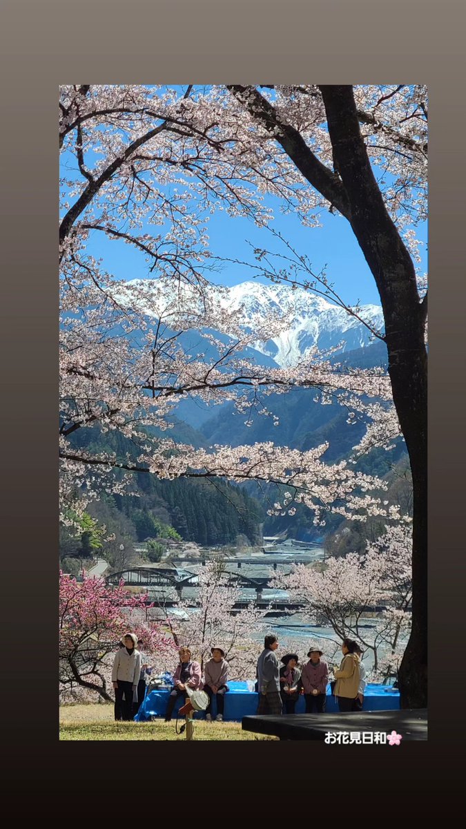 今年の大西公園の出店も無事終えました🌸
新しくシフォンケーキ持っていったりして、喜んでもらえてよかったです😊
ここから私の１年がスタートします❣️
村の人達やお店のお客さん達にもたくさん会えて、ご挨拶できてよかったです！お店は5月1日(日)から始まります😊
今年もよろしくお願いします🙇‍♀️
