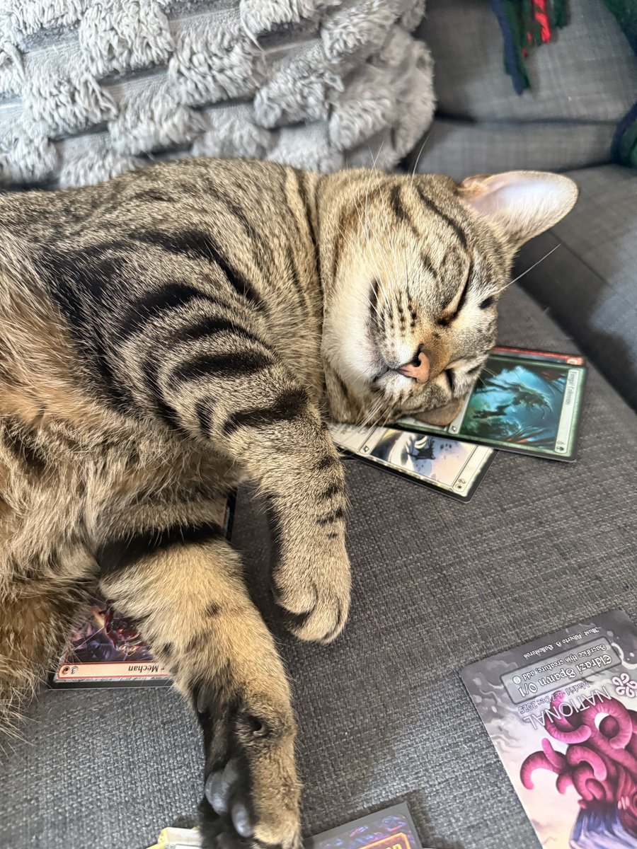 claudia🕷️ tweet media