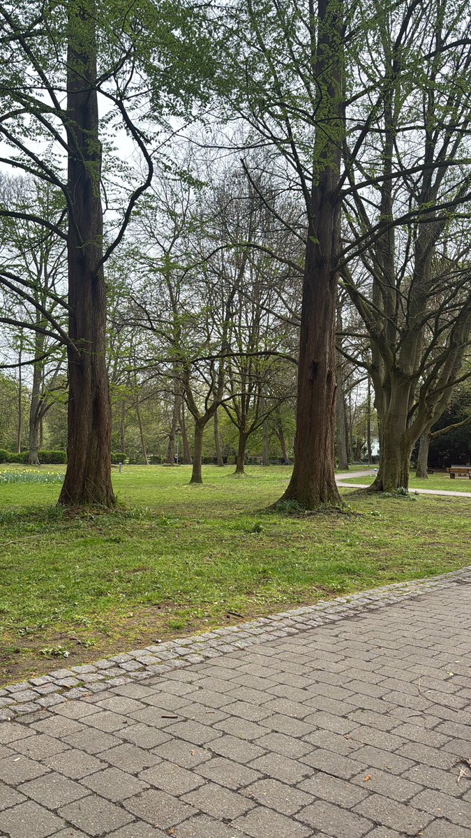 sonntag bedeutet spazieren und im park sitzen