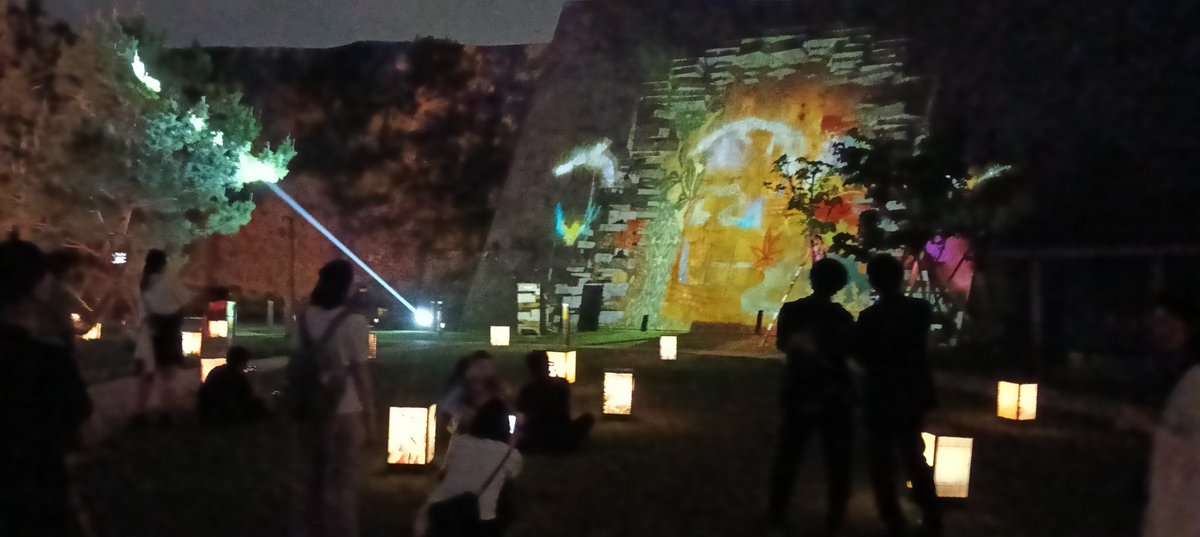 しのびぃ0303 tweet media