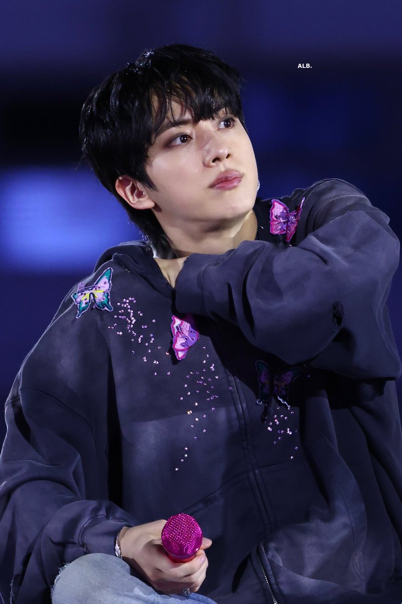 A LITTLE BRAVER 🐬 tweet media