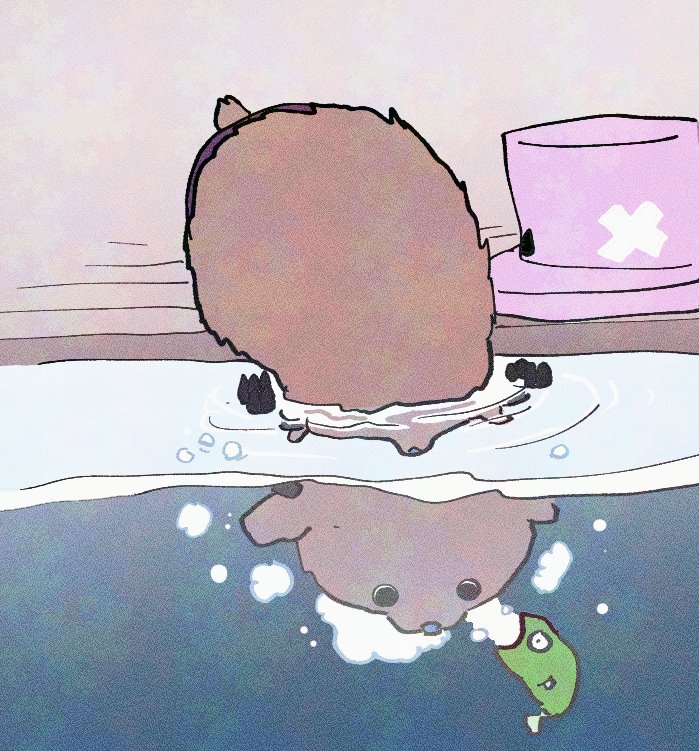 초코보🐤 tweet media