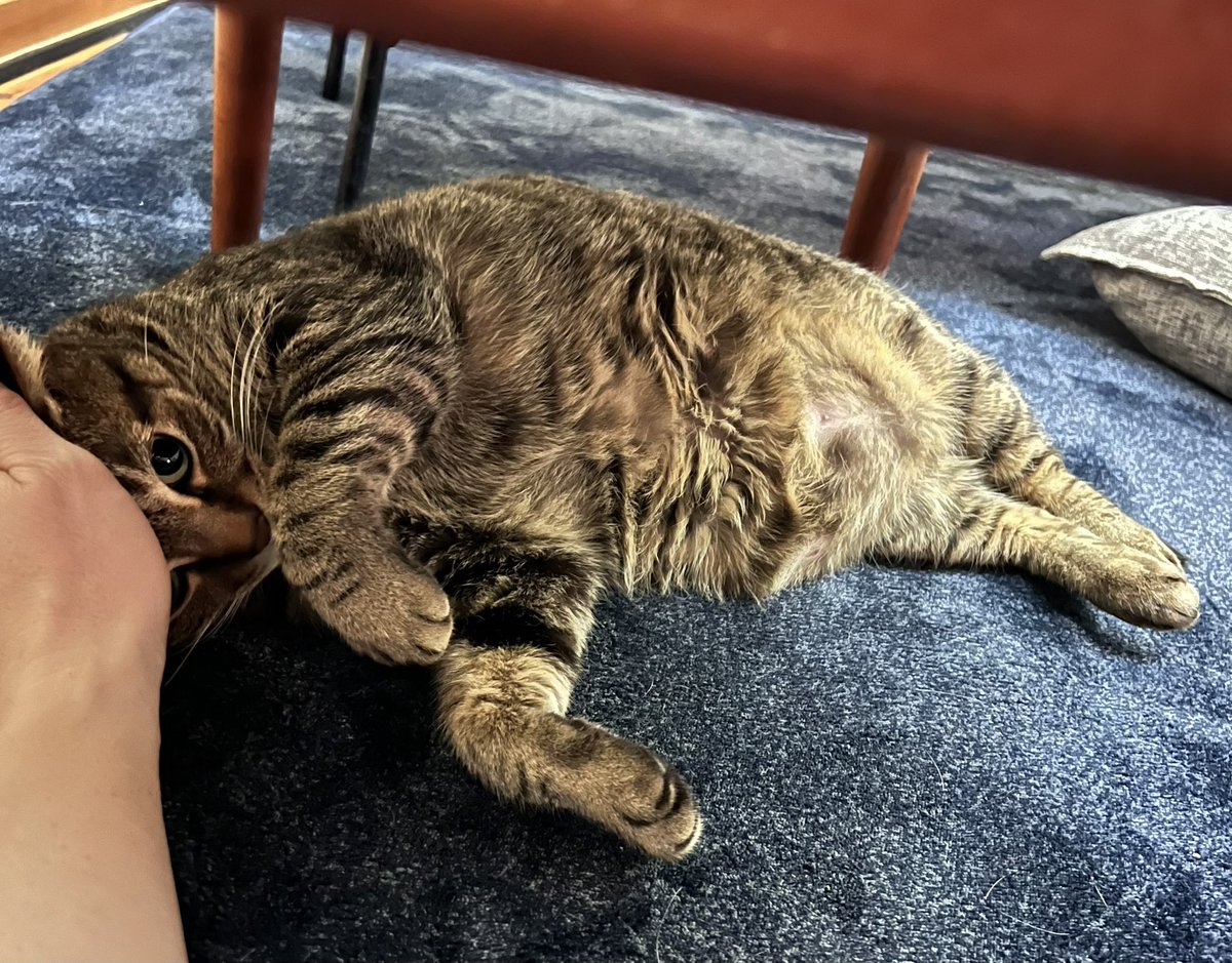 宗方脩 tweet media