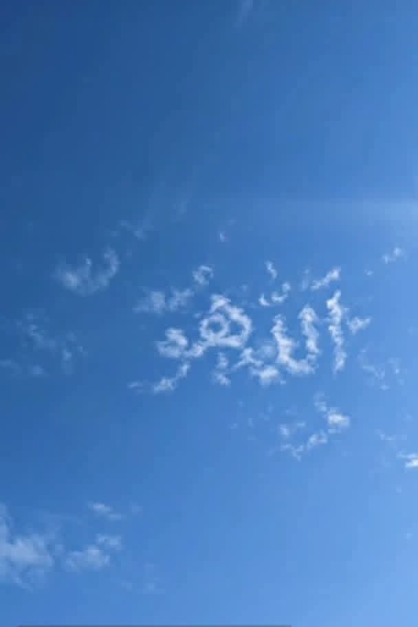 Abiha Syed tweet media