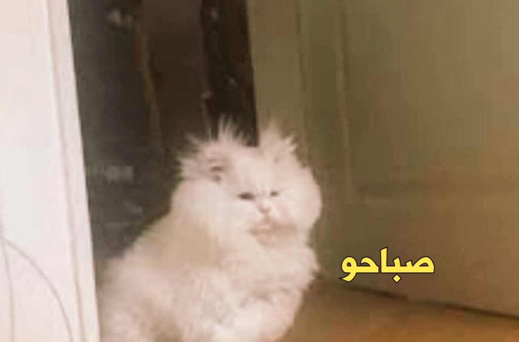 طريق الألف ميل يبدأ بخطوة والكلام ده 
الجبل مكون من ذرات رمل و الحاجات دي...