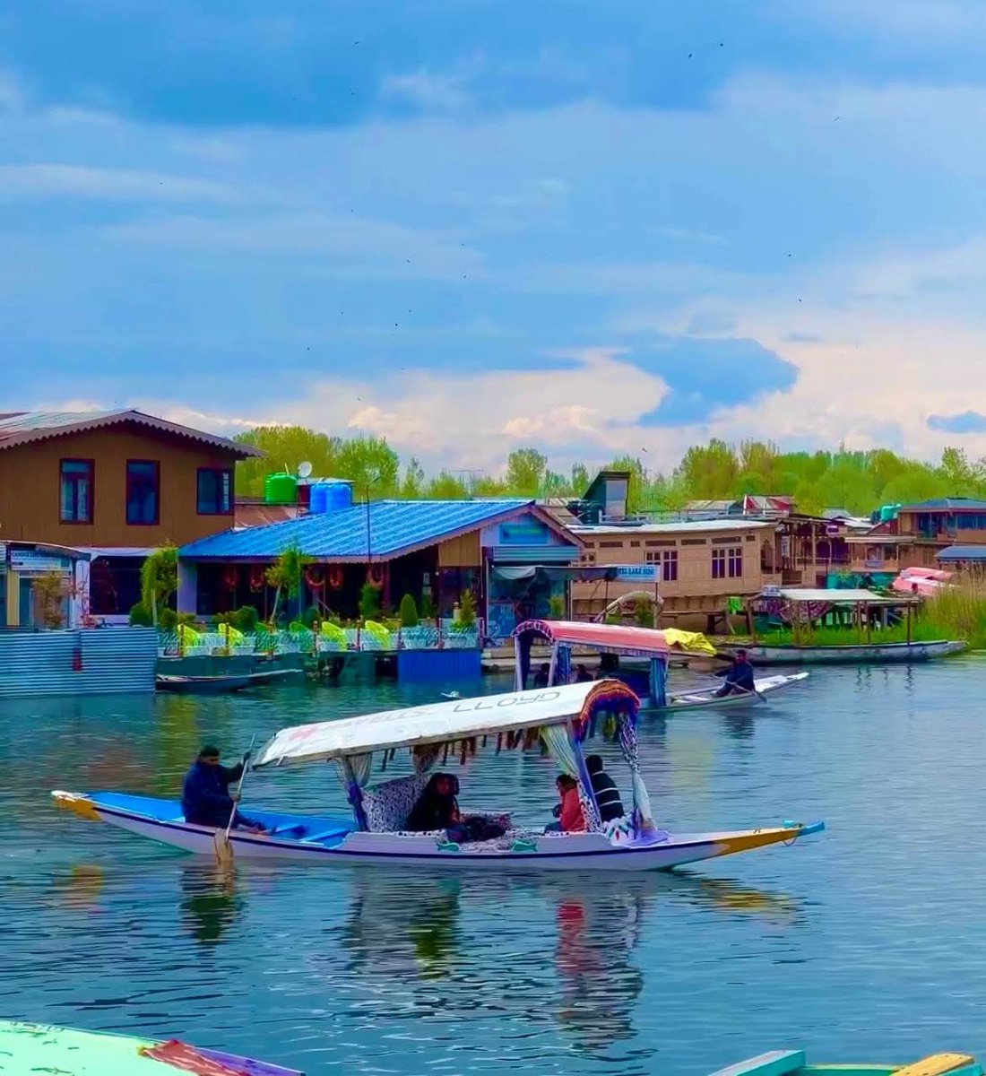 shaistawani8512's tweet image. Dal lake Srinagar #Kashmir ❤️
