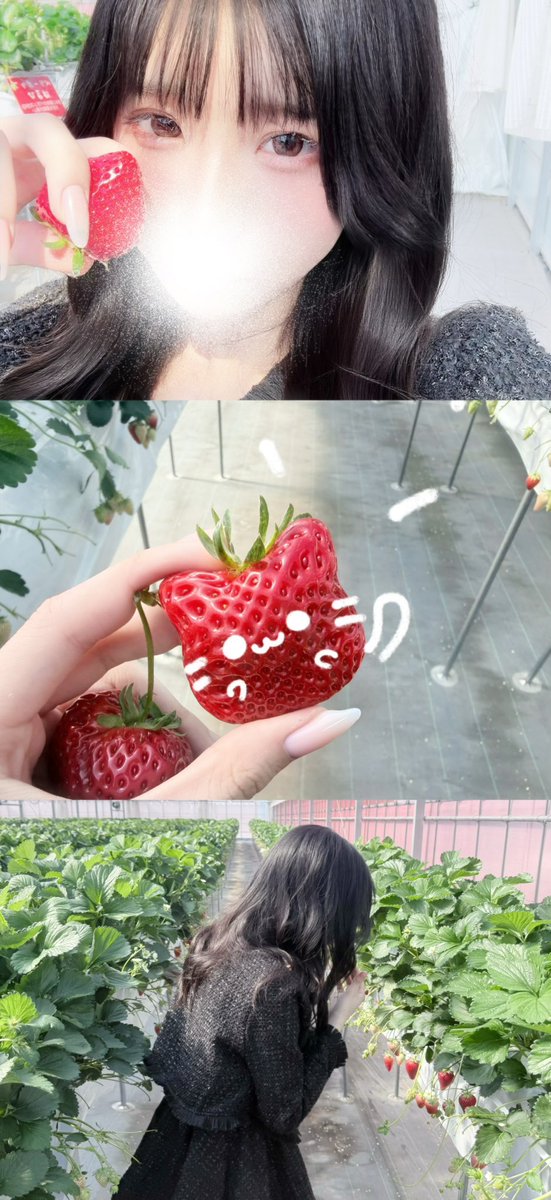 りうた。 tweet media