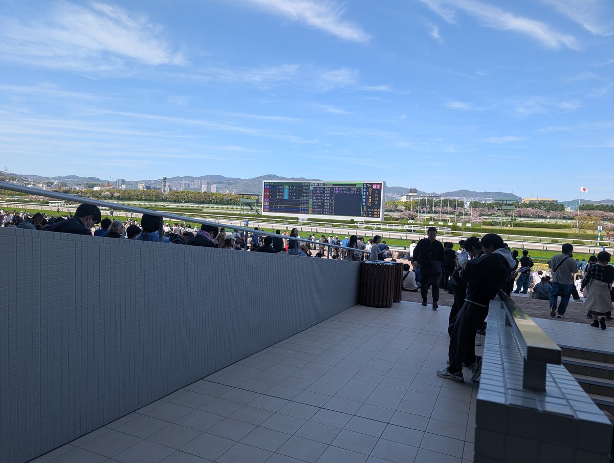 阪神競馬場めちゃ大きかった〜
馬はかっこよかった