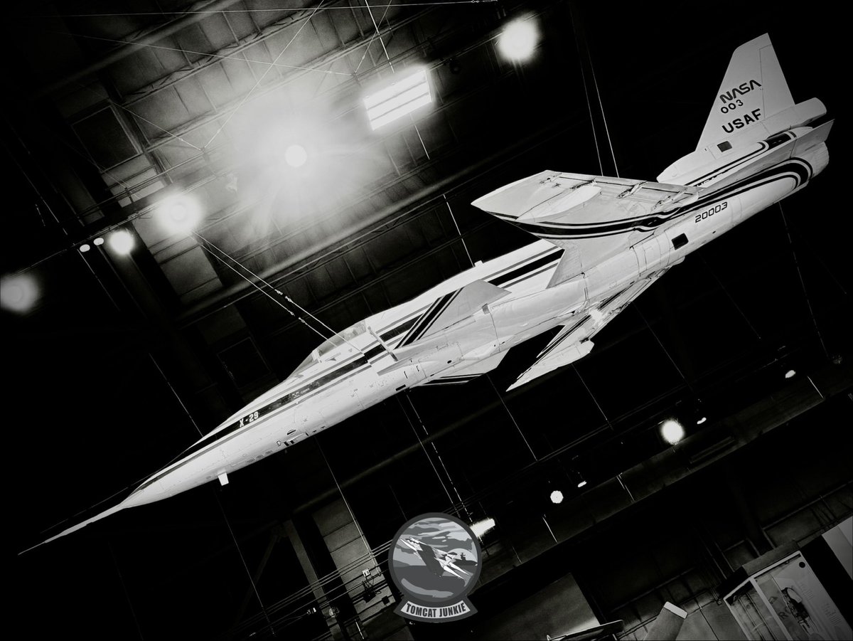 TomcatJunkie🏴‍☠️ tweet media