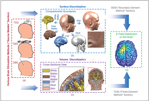 IEEEAPMag's tweet photo. V.Sabino, A.Murugesan, N.I.Hasan, S.S.Vaezi, A.Walenciak,P.Jayatissa,and L.J.Gomez review computational methods for modeling electromagnetic fields in brain stimulation,covering device design and neuronal effects.

https://t.co/YcrDUAOO1K

#ieeeaps #ieeeapm #computational #brain https://t.co/qY2szdW3nz