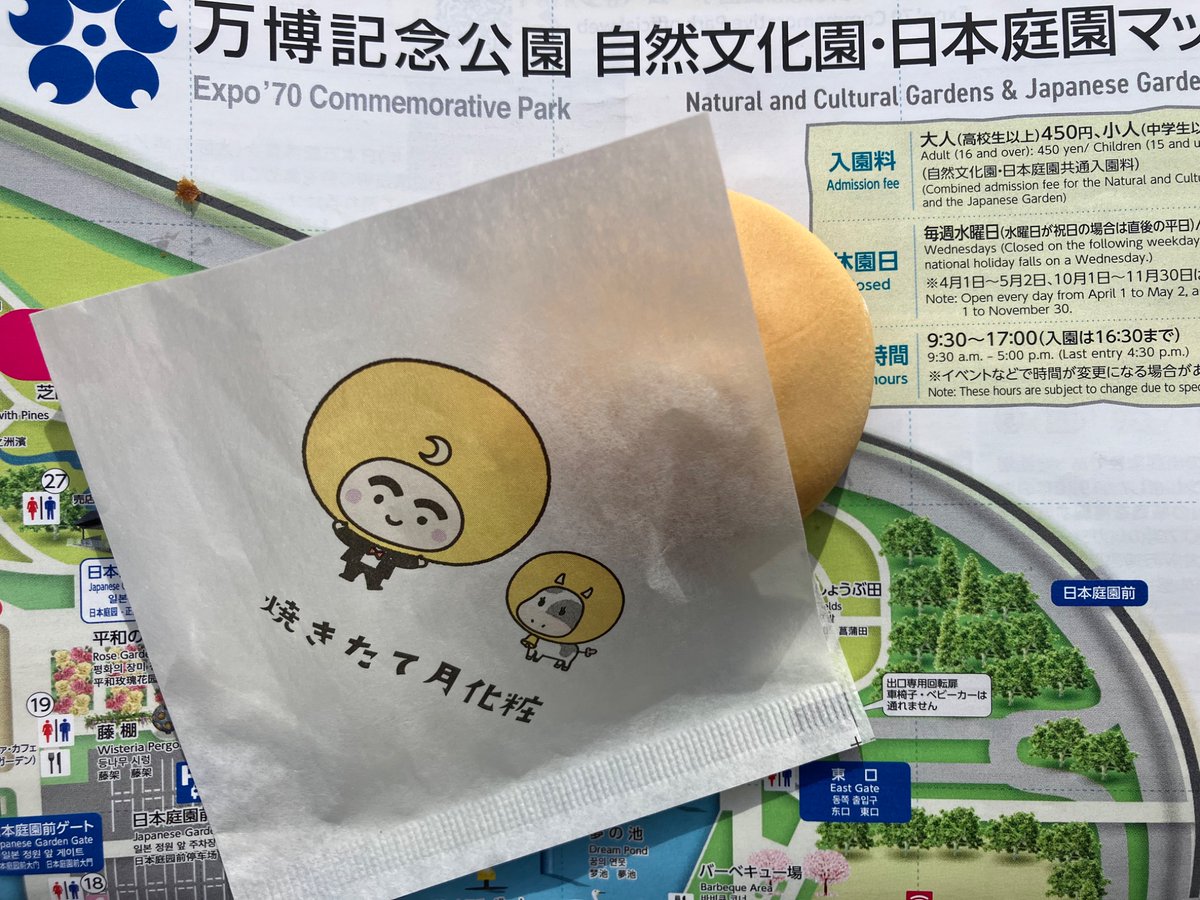 草乃ネコ🐱 tweet media