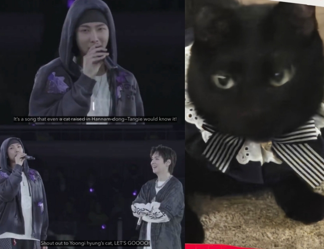 BTS LINK tweet media