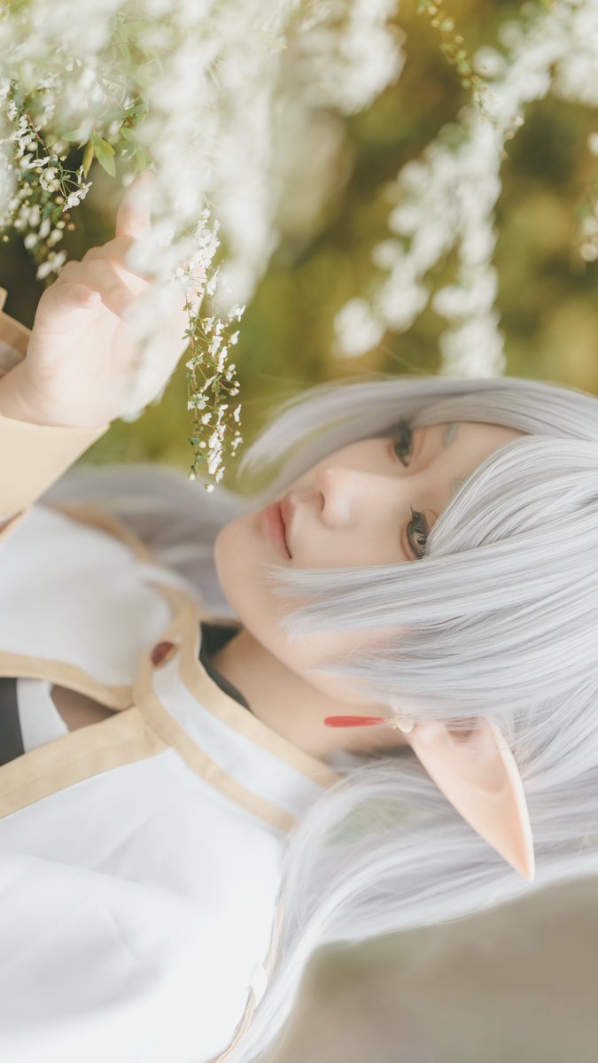 ねこまる（25.0） tweet media