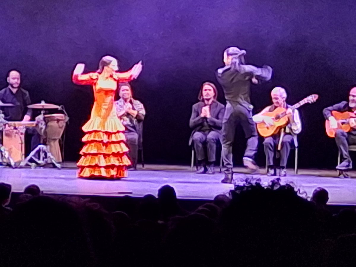 flamencalibrarian now 🦋ninathecat.bsky.social tweet media