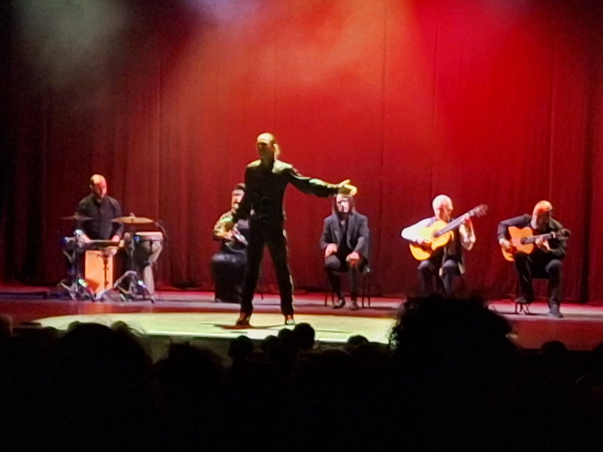 flamencalibrarian now 🦋ninathecat.bsky.social tweet media