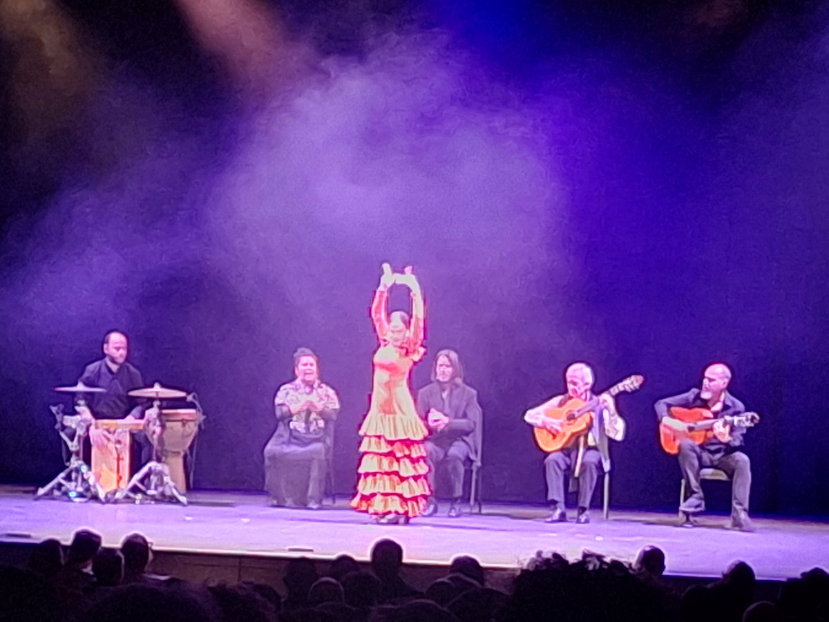 flamencalibrarian now 🦋ninathecat.bsky.social tweet media