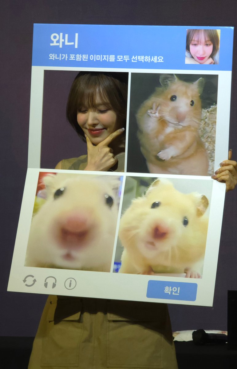 노래하는와니 tweet media