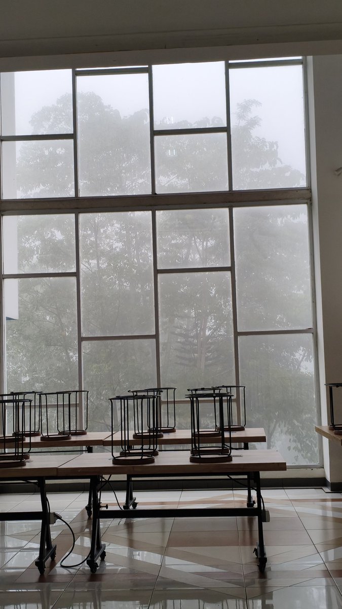 Kenneth. tweet media