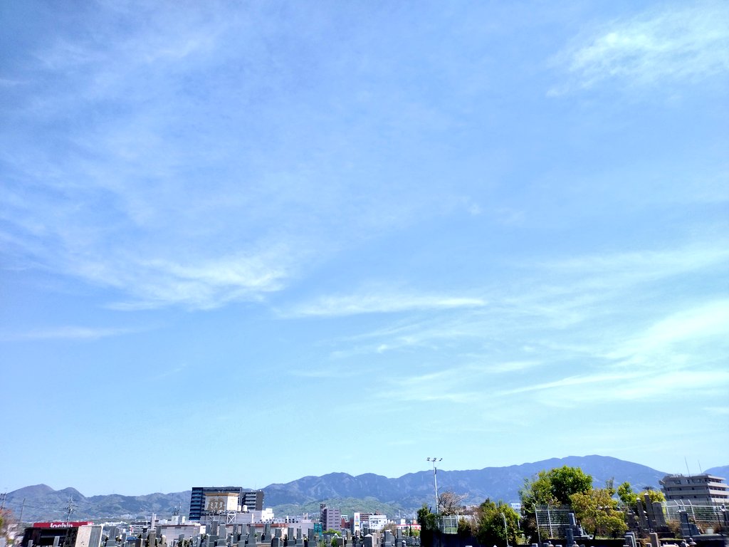 ＤＥＷ（焼酎亭雫） tweet media