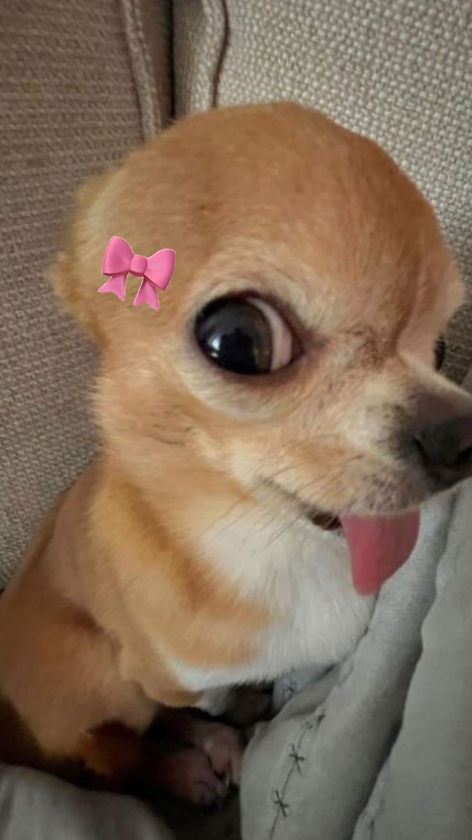 𝐞𝐫𝐢 tweet media