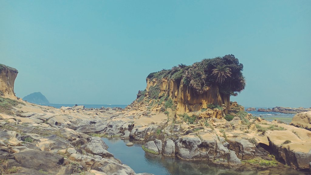 秋元 修太郎 tweet media