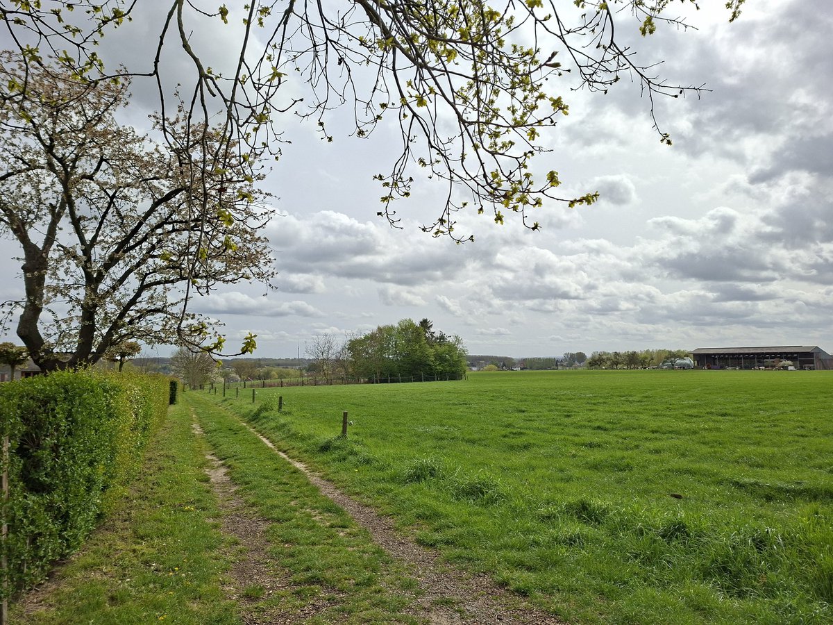 Els Wyns tweet media