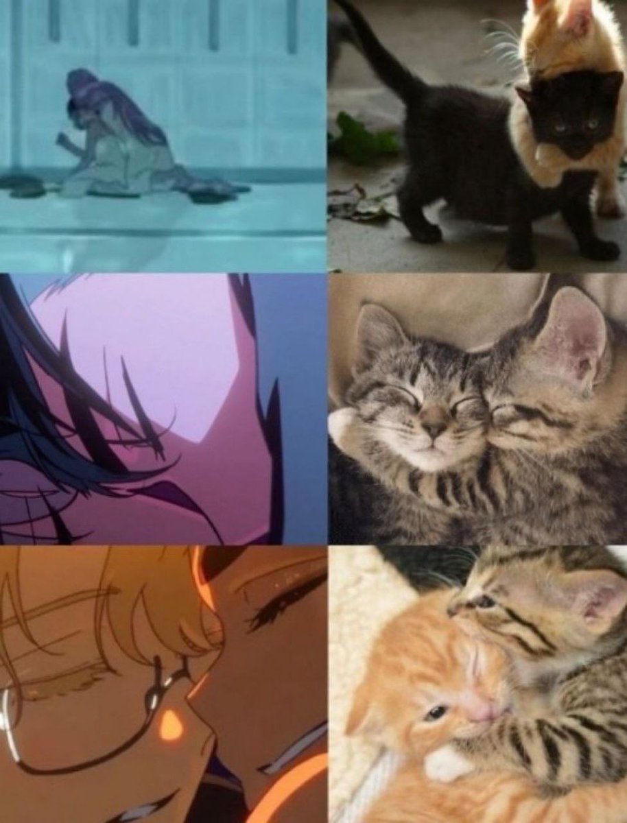 cedro 🎸🎤 tweet media