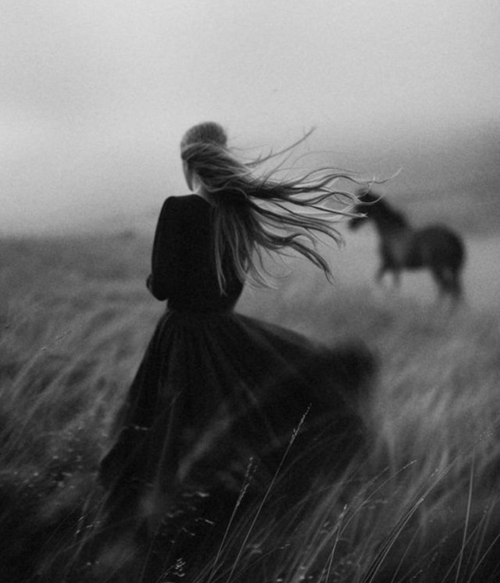 Apostrophe tweet media