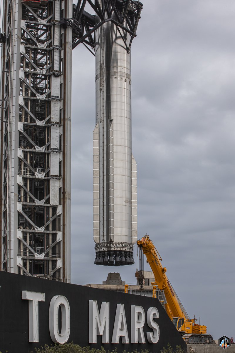 Starbase Surfer tweet media