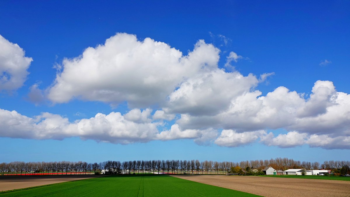 Ton Wesselius tweet media