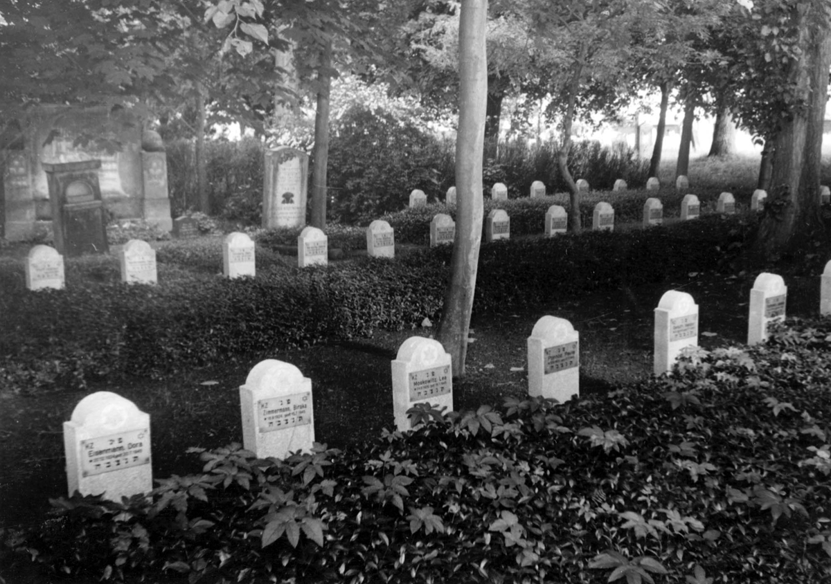 auschwitzxhibit's tweet image. Lubeck, #Germany. 

Gravestones of survivors who died on their way to Sweden, after the liberation.