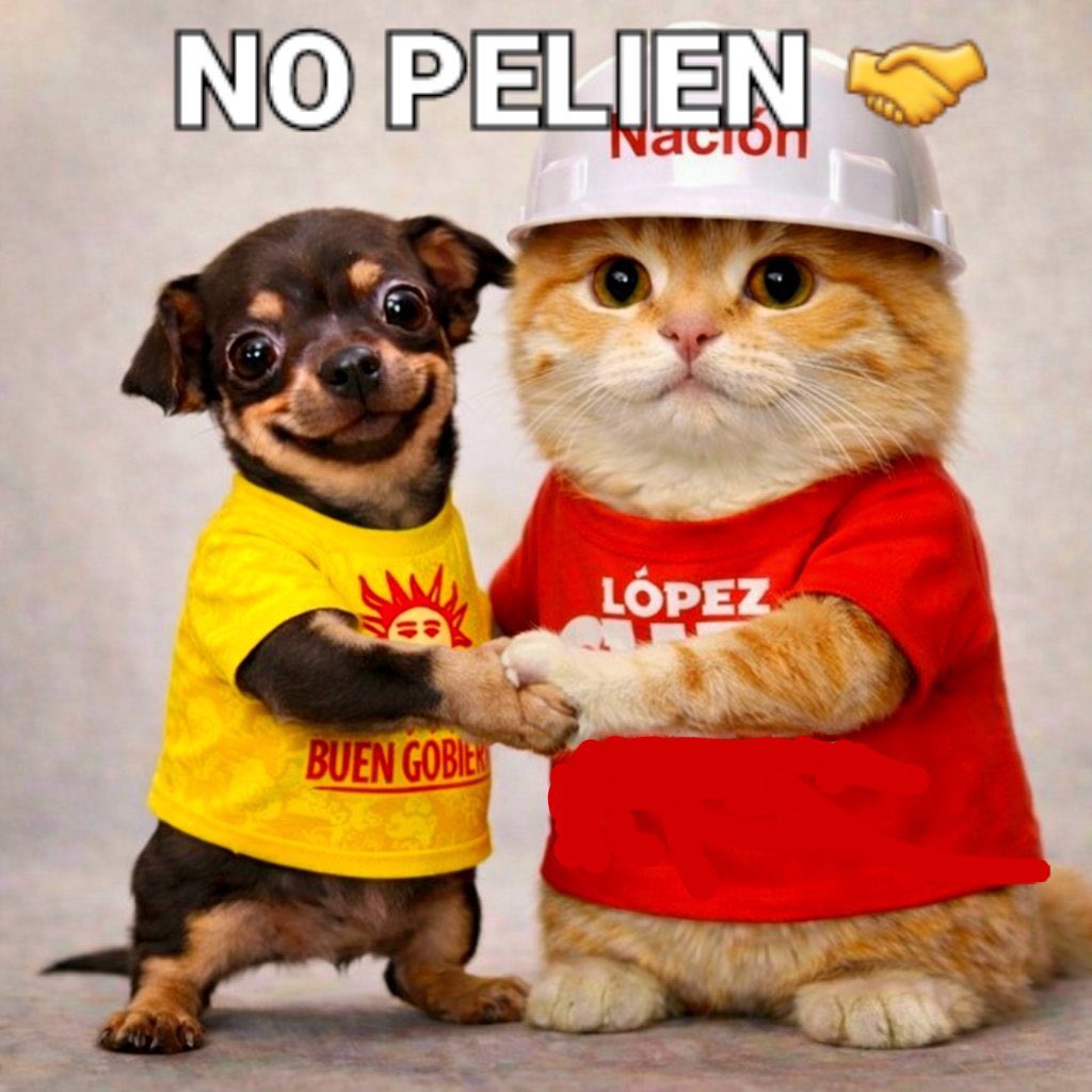 alezzzan's tweet photo. Vamos a llenar ese Senado y esa cámara de diputados de gente que le haga la lucha al pacto ✨✨✨✨ https://t.co/h1kcT3vHRW